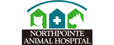Northpointe Animal Hospital-FooterLogo